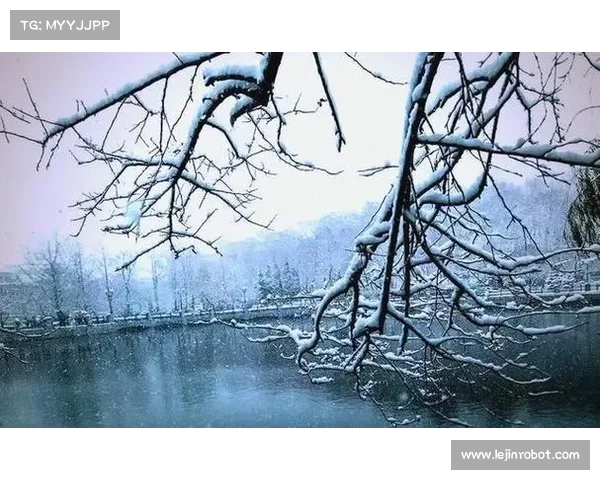冬日湖畔漫步,感受冰雪静谧与诗意温暖交织的心灵之旅 冬日湖畔漫步,感受冰雪静谧与诗意温暖交织的心灵之旅