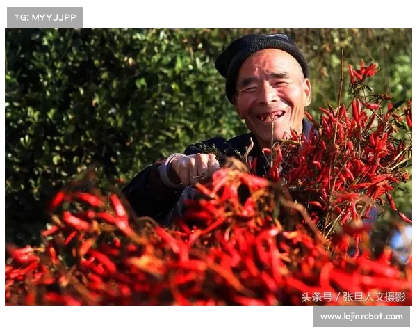 高地红石榴种植的十大实用技巧及注意事项助你丰收 高地红石榴种植的十大实用技巧及注意事项助你丰收