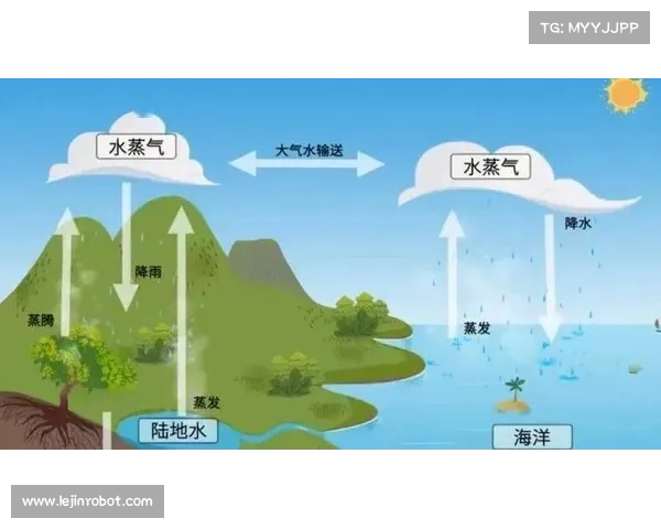 雷电活动变化揭示全球气候变暖对大气能量循环的深远影响